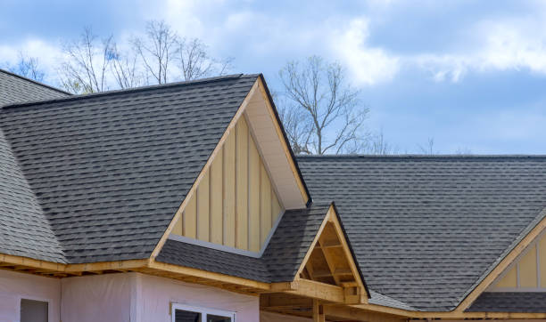 Professional Roofing service in Fort Lupton, CO